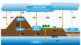 【サントリー天然水の森シリーズ】第2章　水が存在し続けるメカニズム